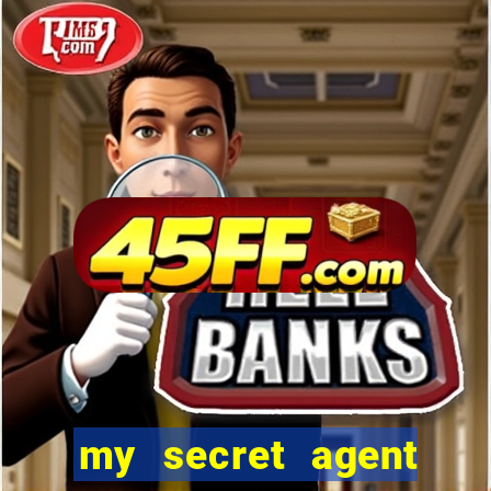 my secret agent husband legendado